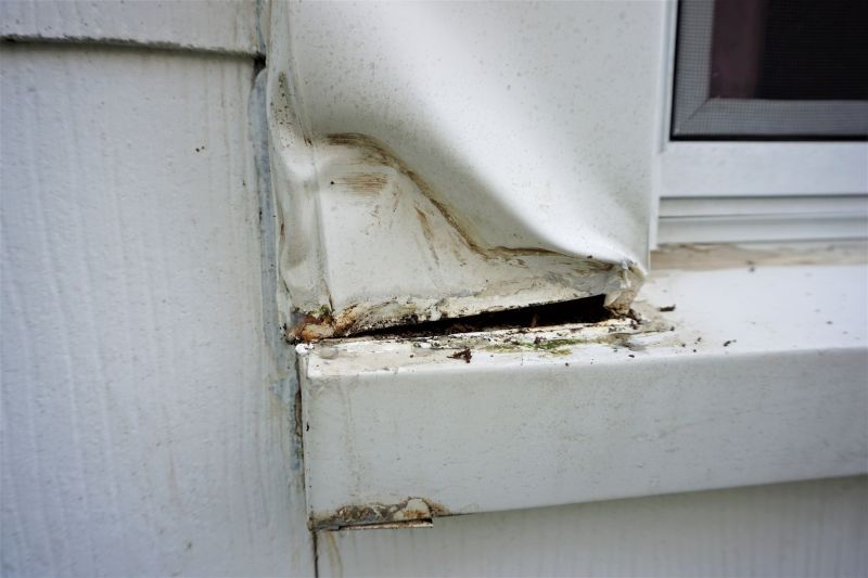 Window Trim Repair
